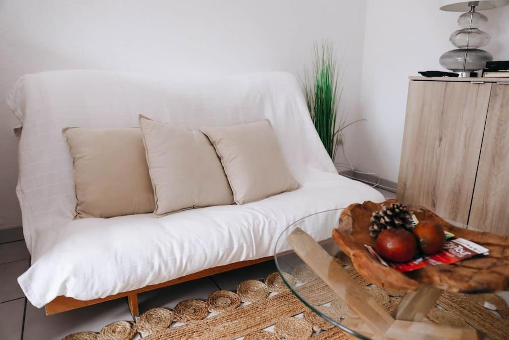 Echappee Chic Toulousaine Apartman Toulouse Kültér fotó